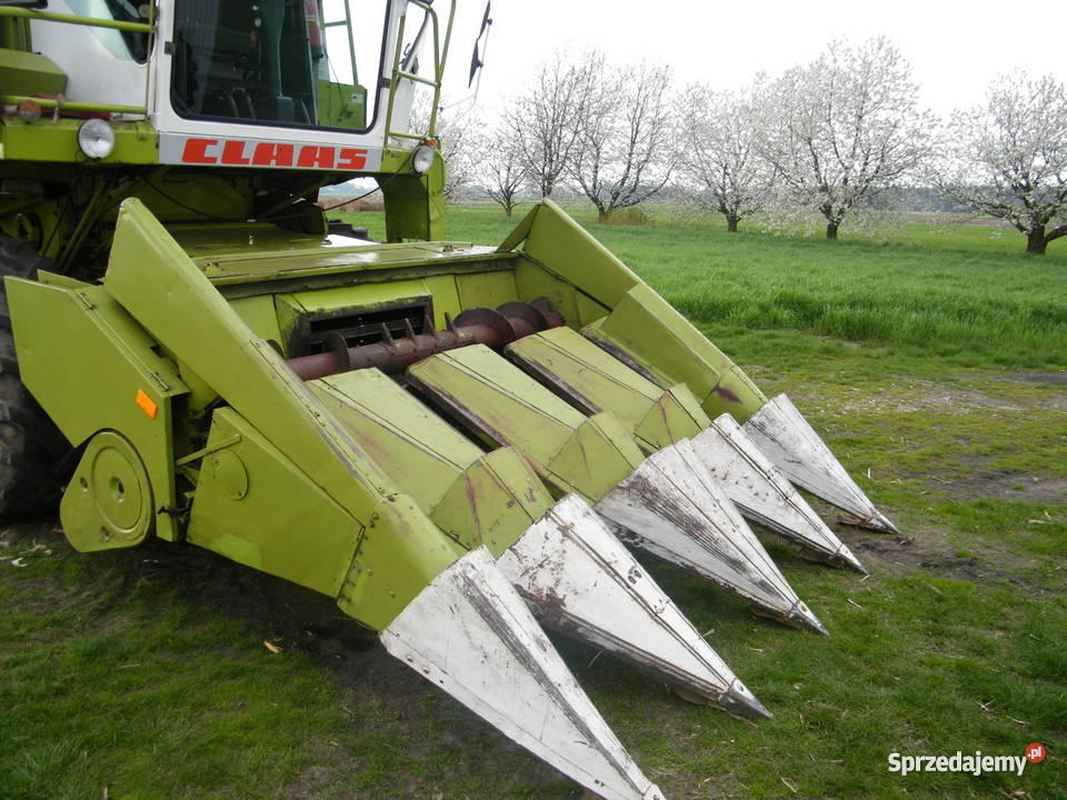 przystawka do kukurydzy claas 4x75 zcieciem lody wielkopolskie Pieruszyce