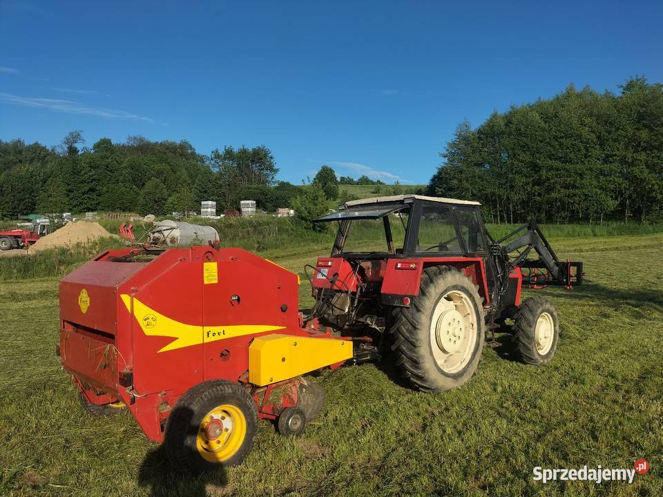 Prasa Fort f 21 junior podkarpackie Mała