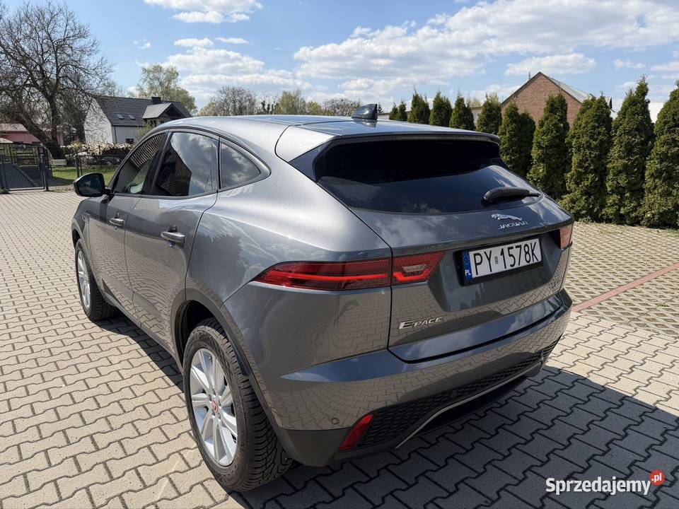 Piękny Jaguar E Pace Śrem