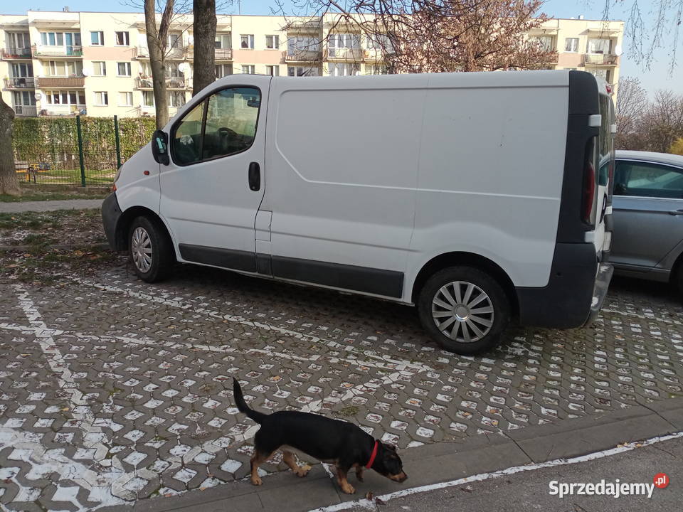 Renault Trafic 19D nieuszkodzony Kielce