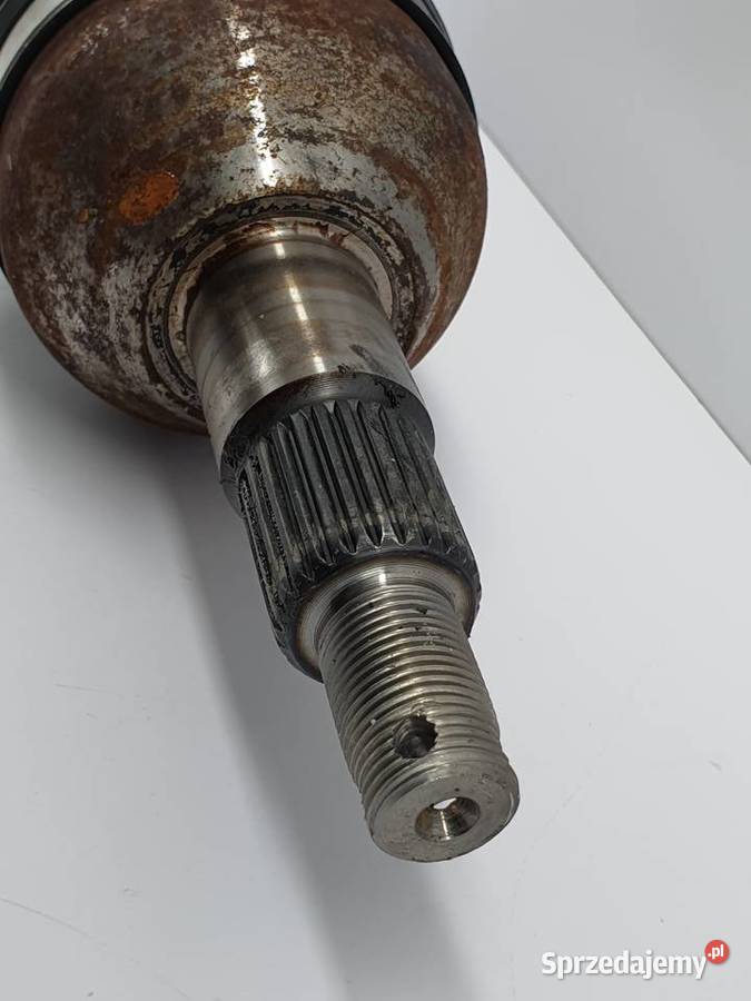 Polos Tylna Prawa Can Am Renegade G2 Outlander Łódź