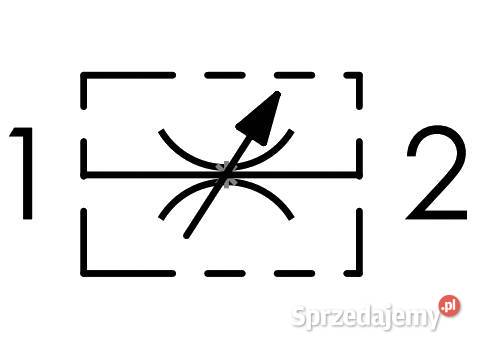 ZAWÓR HYDRAULICZNY DŁAWIĄCY W 1 STRONĘ 34 60L Hydraulika Solec Kujawski