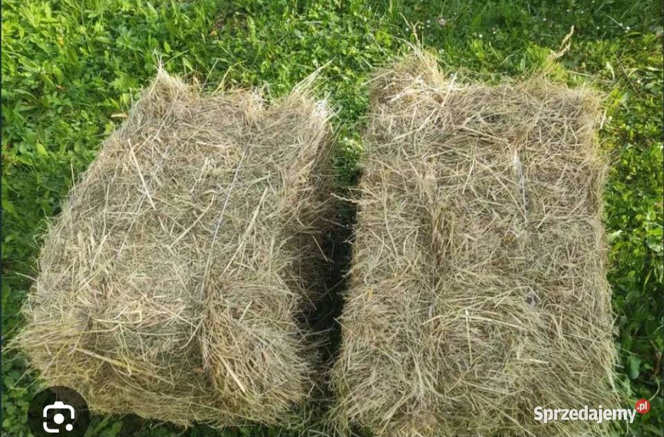 Sprzedam ładne siano mazowieckie Kotarwice sprzedam