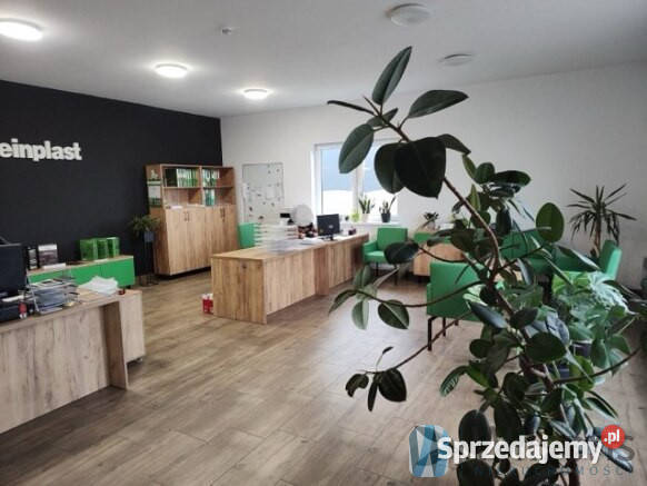 Lokal 1000 metrów Przypki mazowieckie