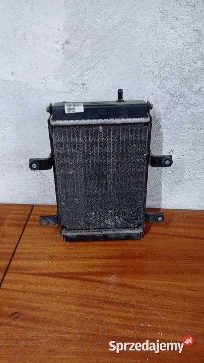 Chłodnica wentylator czujnik SYM 250 skuter Części motocyklowe łódzkie Łubno