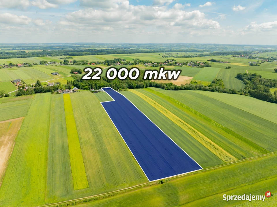 Sielska nieruchomość w otoczeniu natury 220 HA małopolskie Grzegorzowice Wielkie