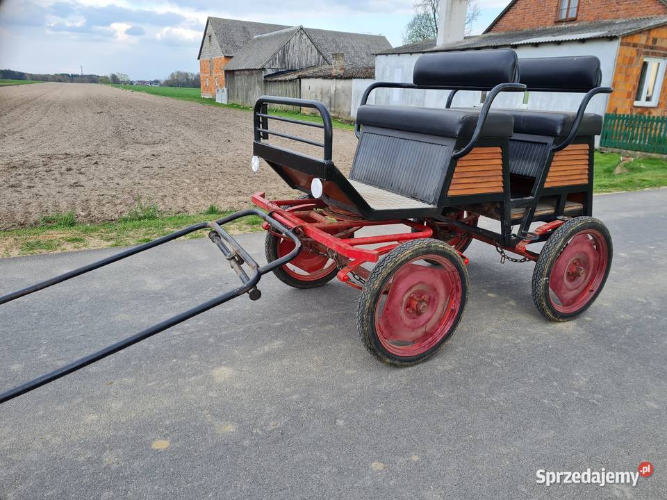 Bryczka do konia Dla koni Turek