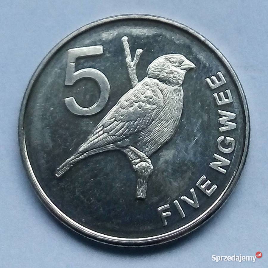 ZAMBIA5 NGWEE2012 r PTAKŁADNA Legionowo