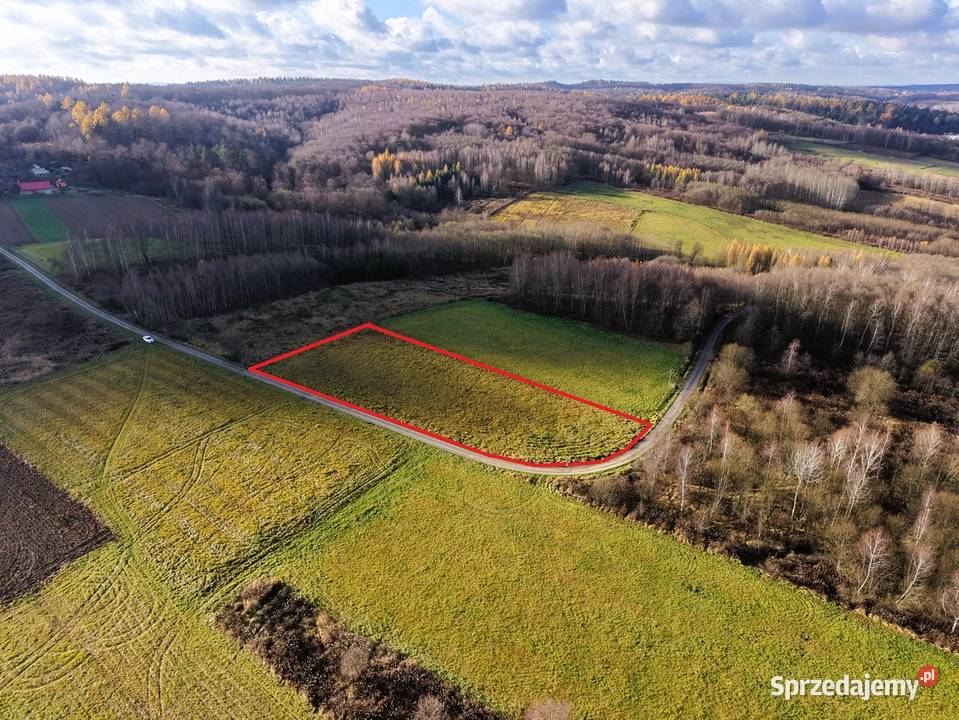 Sprzedam działkę 41 ar Sieklówka podkarpackie