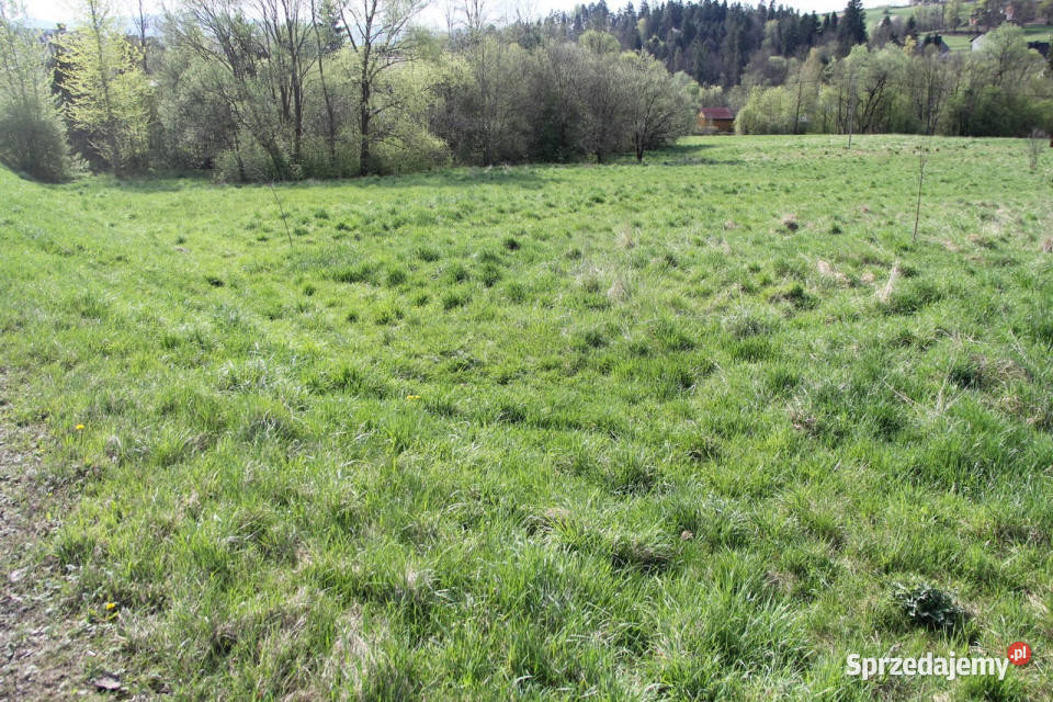 Kompleks działek w miejscowości Skomielna Biała 16059m2 sprzedam