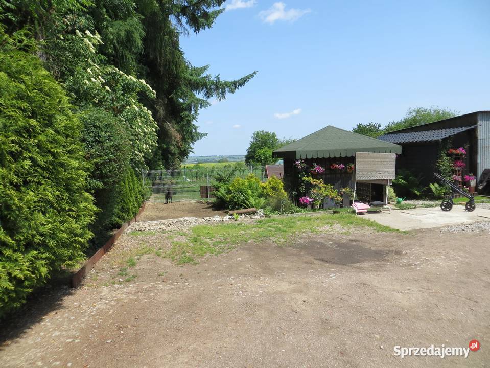 KONKURS OFERT SYNDYKA Grunty i działki małopolskie Widoma