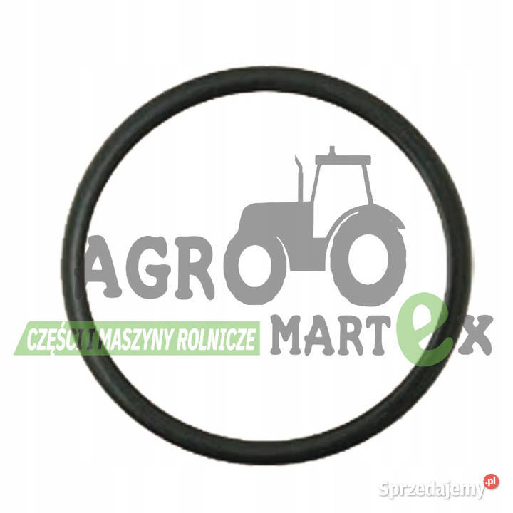 713791R1 ORING CNH nieuszkodzony