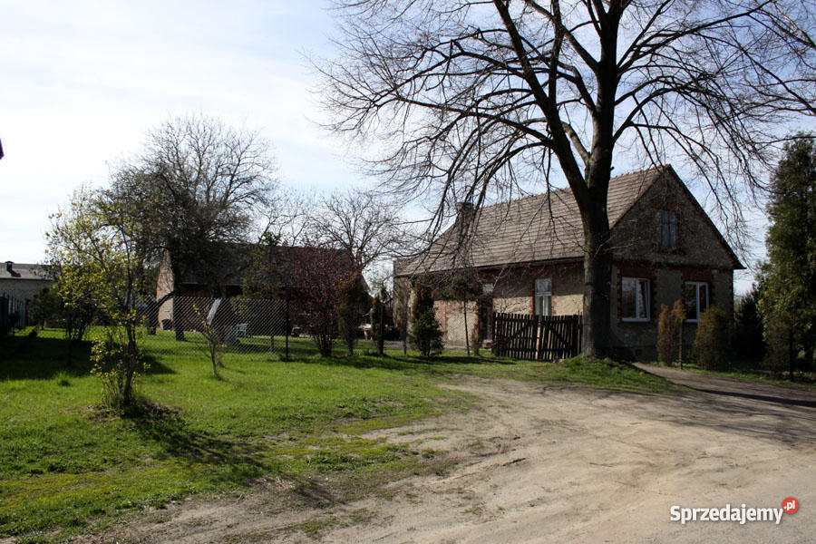 Dom gospodarstwo Wilkowiecko gm Opatów pow Kłobu Domy sprzedam