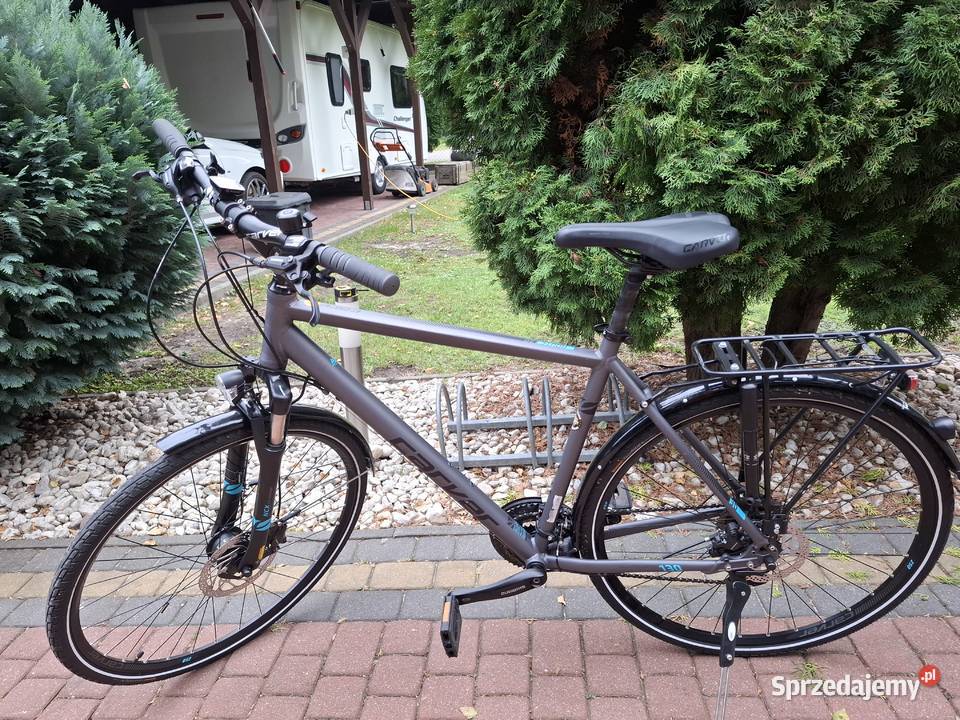 Rower meski Carver Zławieś Wielka