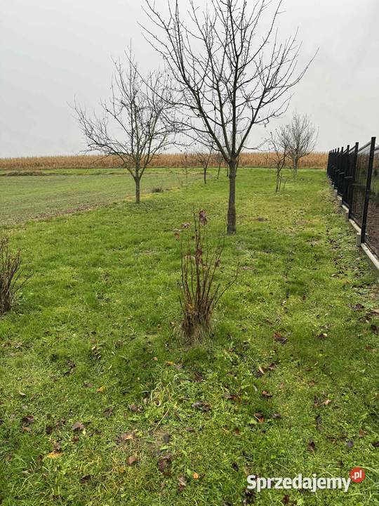 Działka 35 arów Krasieniec Stary prąd i woda 73zł/m2 małopolskie