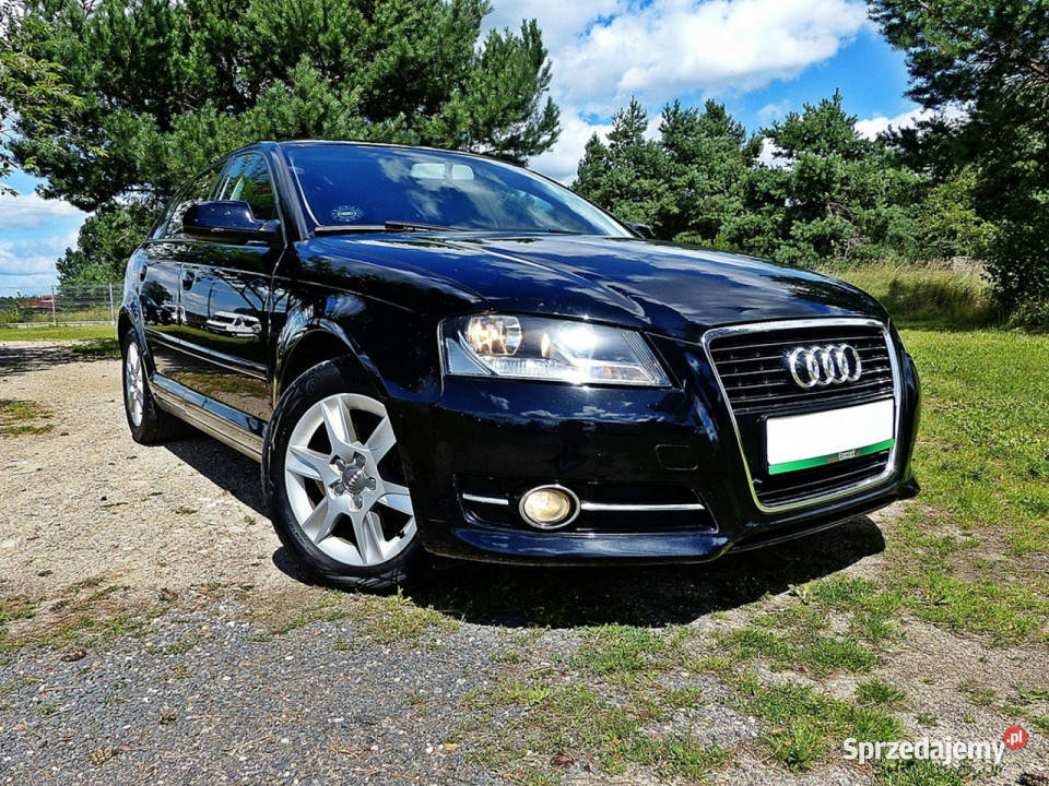 Audi A3 Sportback 20 Hatchback Piła sprzedam