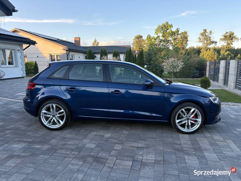 Audi A3 Sportback 16 TDI nieuszkodzony A3 Świecie