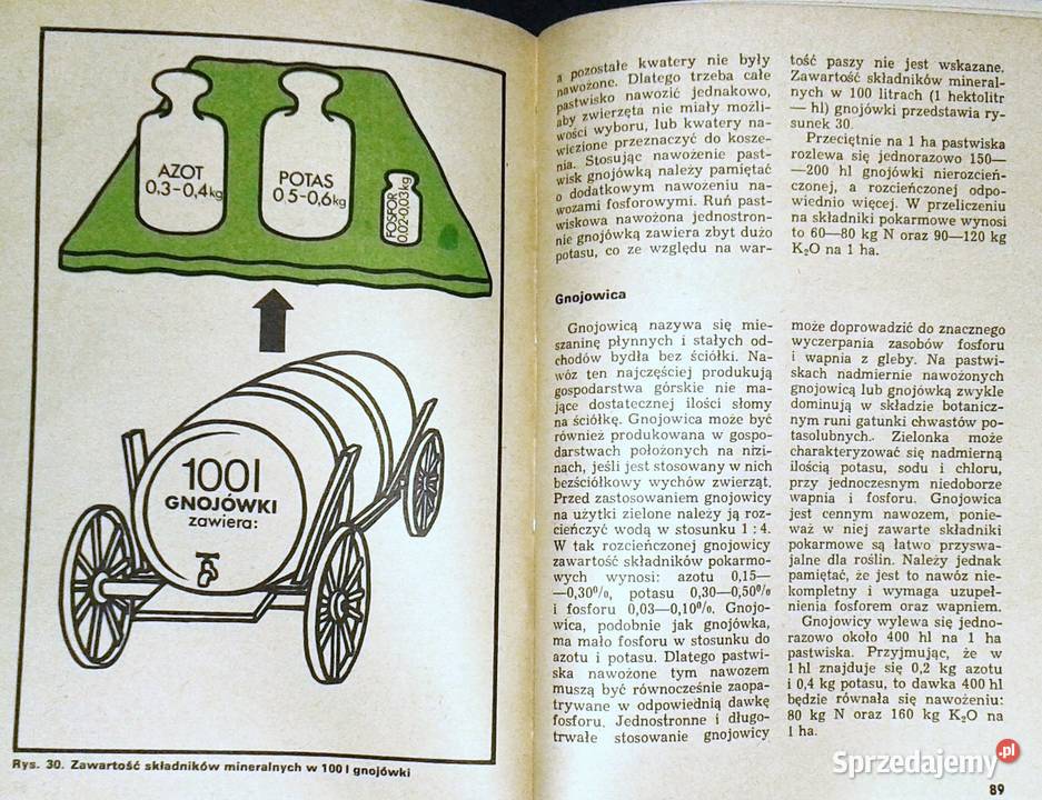 Kwaterowe użytkowanie pastwiska Zygmunt Chełm
