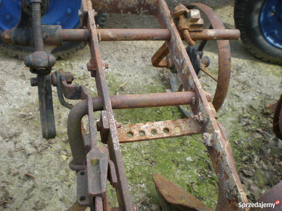 Pięknamodna ozdobadekoracja do ogrodupług zachodniopomorskie