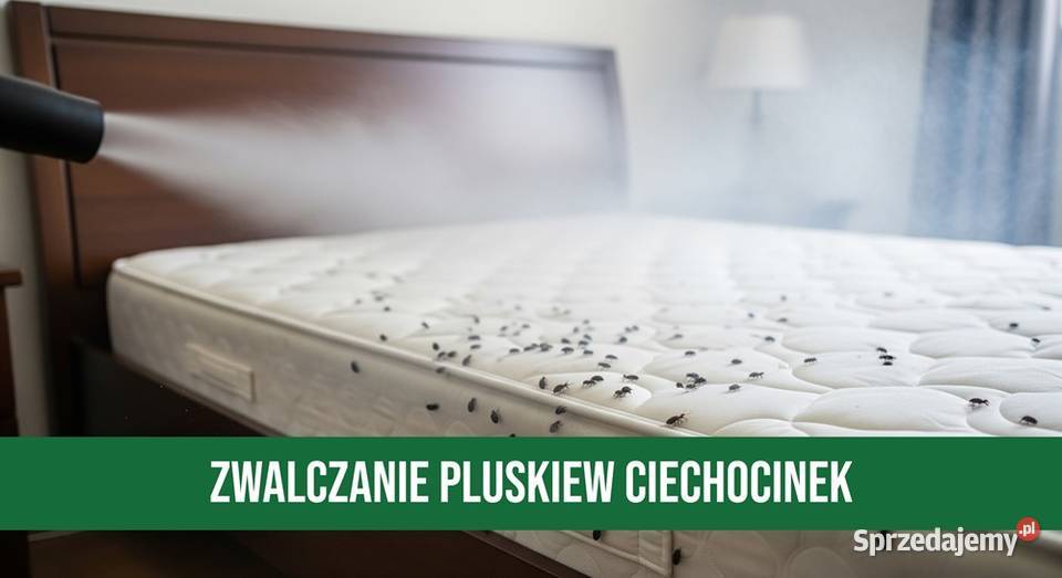 Zwalczanie Pluskiew Ciechocinek Odpluskwianie