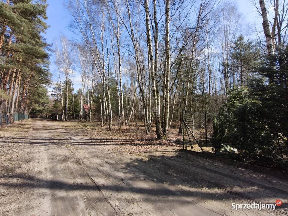 Sprzedam dwie działki rekreacyjno budowlane w Cyprianowie, blisko Łodzi