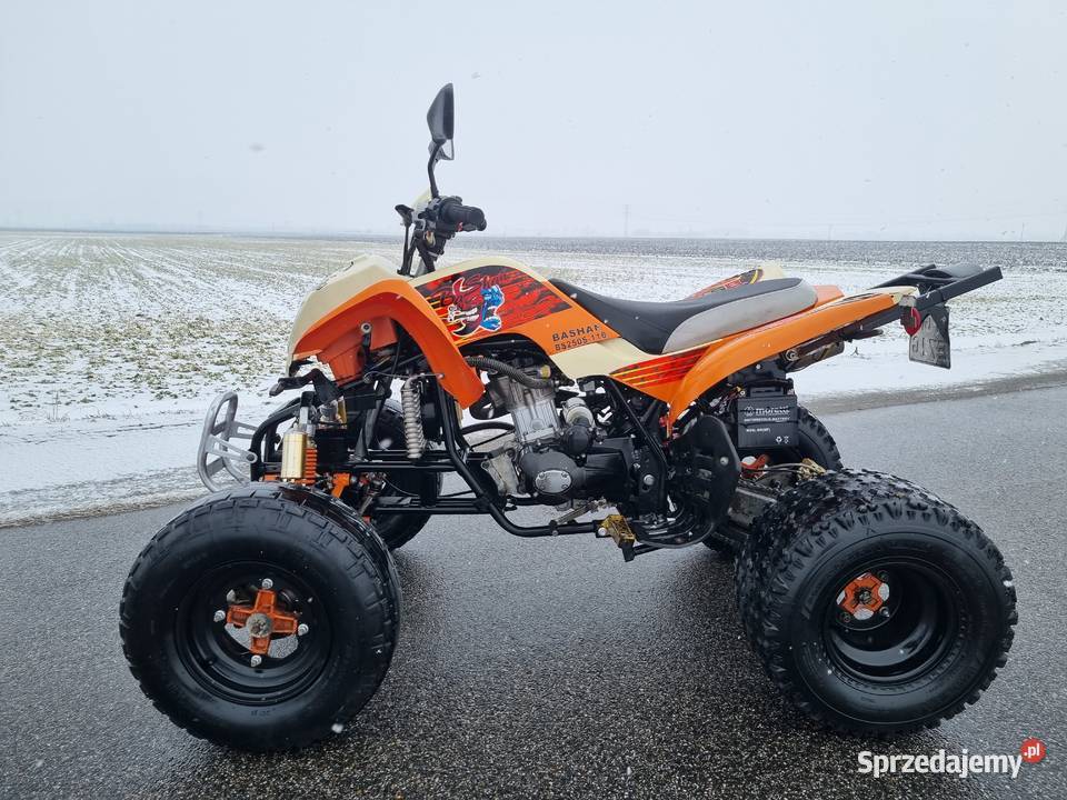 Quad Bashan EGL 250cc Zarejestrowany Kat B Ciecz