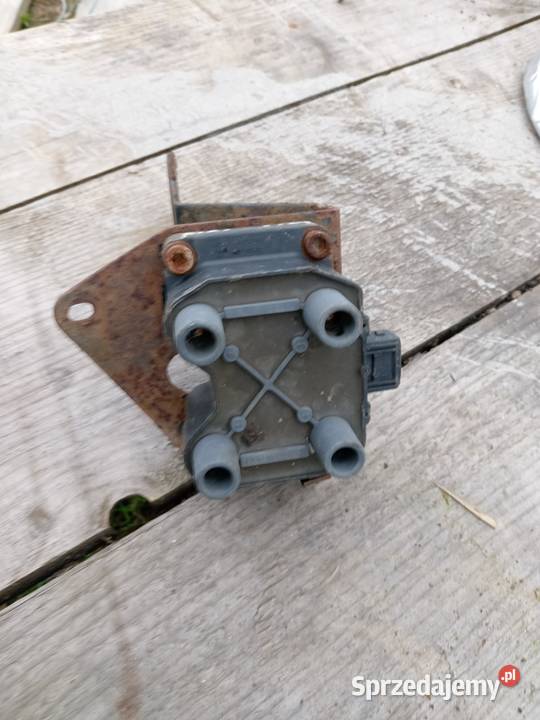 CEWKA POLONEZ Gorlice