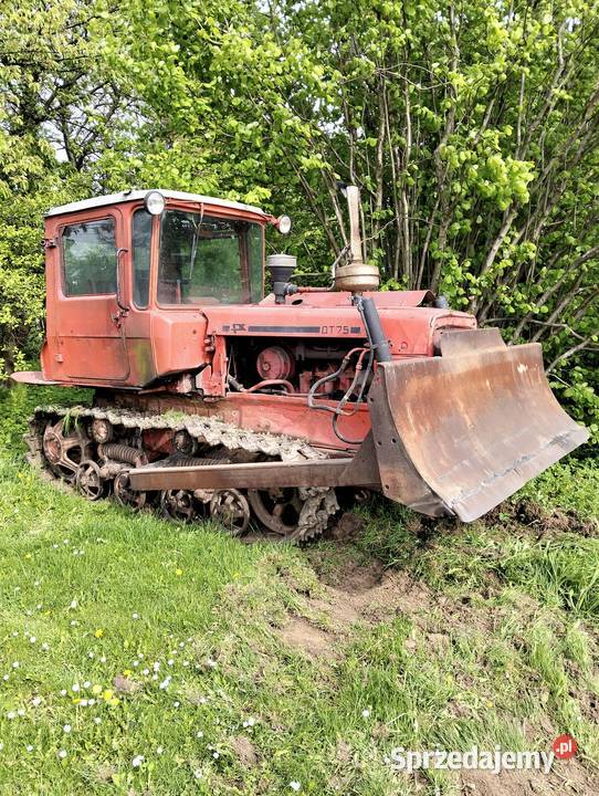 spychacz dt 75 turbo przyczepa śrem Rok produkcji 1989 Miechów