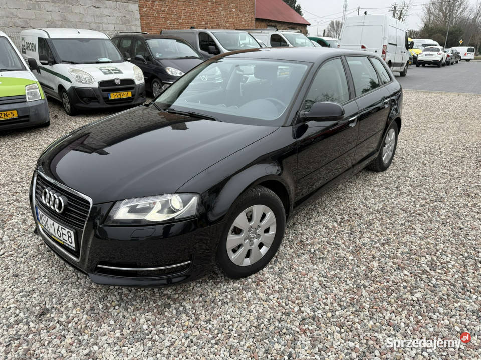 Audi A3 Sportback Audi A3 Lift 16Tdi 2012r Xenon A3 Sokołów Podlaski sprzedam