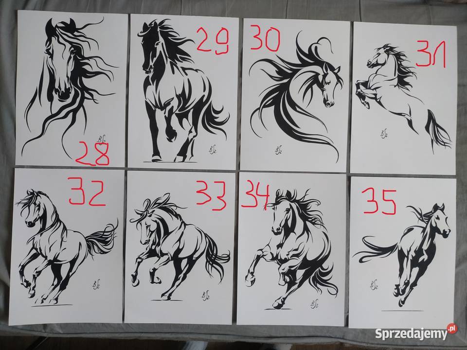 Rysunki seria konie 43 A4 blok t 250 gm2 Malarstwo mazowieckie Warszawa