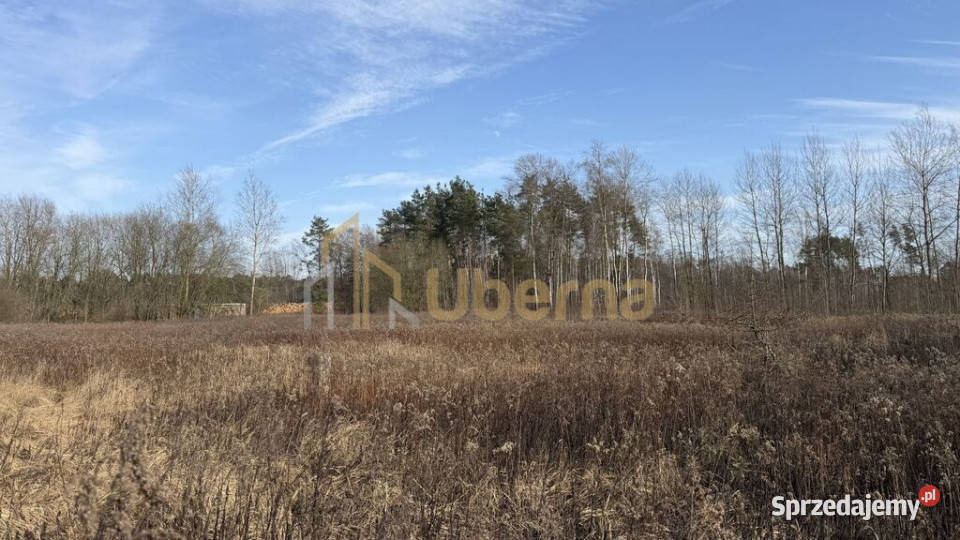 Działka 1552 m2 Żółwia Błoć 4491 m2 zachodniopomorskie