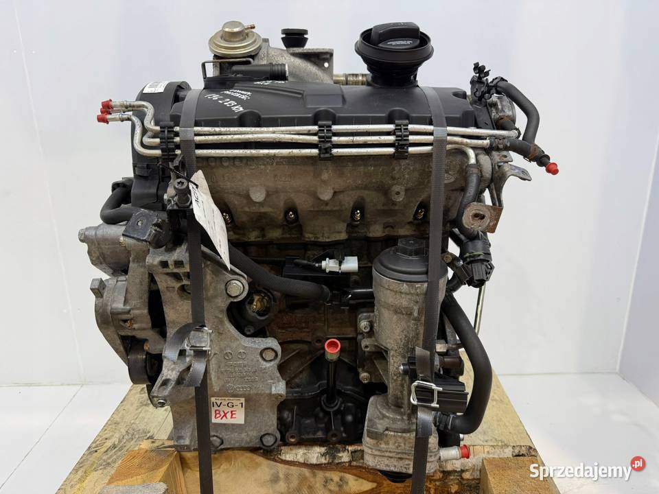 SILNIK BXE VW Golf V Jetta Passat B6 Seat Altea Chełm