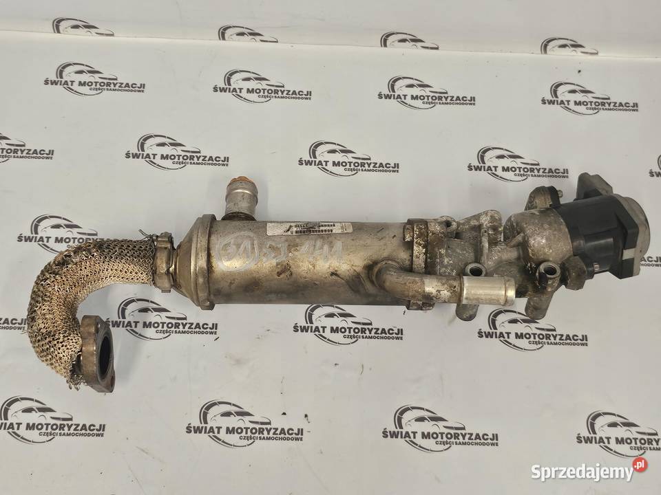 RANGE ROVER SPORT 27 TDV6 276DT 190 chłodniczka świętokrzyskie