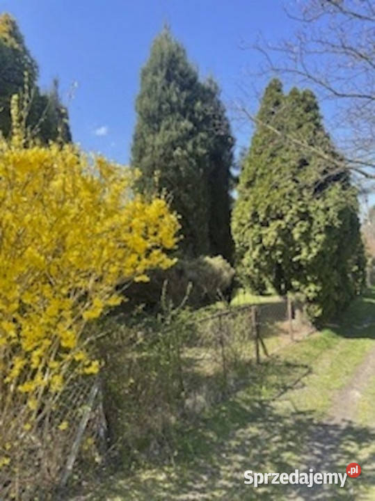 Sprzedam działke w ROD Relax Szałe sprzedam