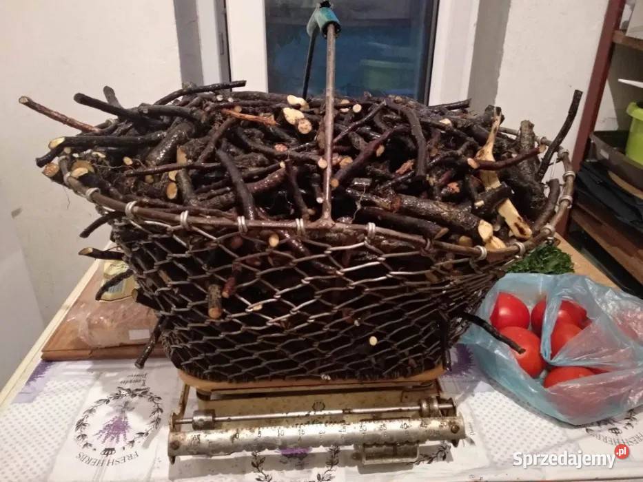 żywokost korzeń świeży dziko rosnący Kryg