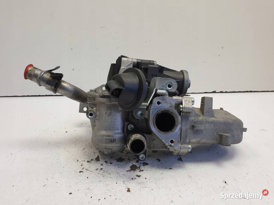 Volvo C30 16 D2 ZAWÓR EGR chłodniczka oryginał Chełm