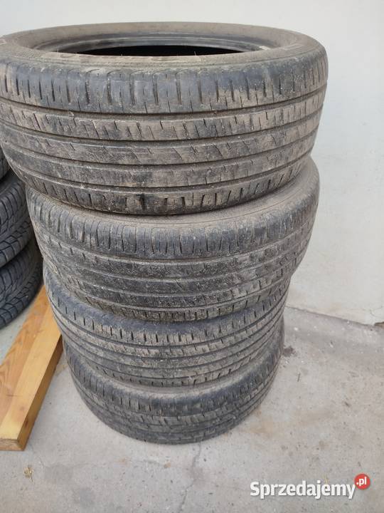 Opony letnie barum 2055516 Wrzawy