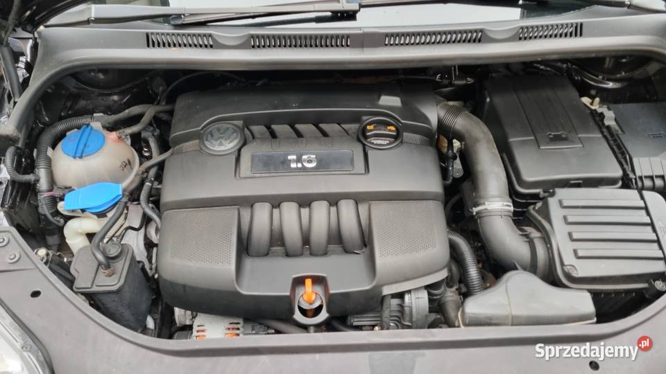 VW Golf Plus 16 benzyna Oplacony Ostrzeszów