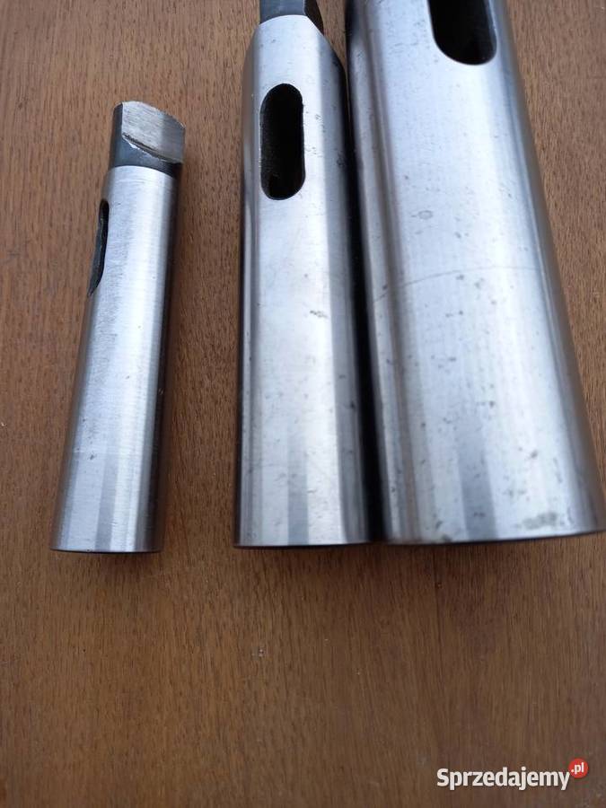 Tuleje morsa podkarpackie