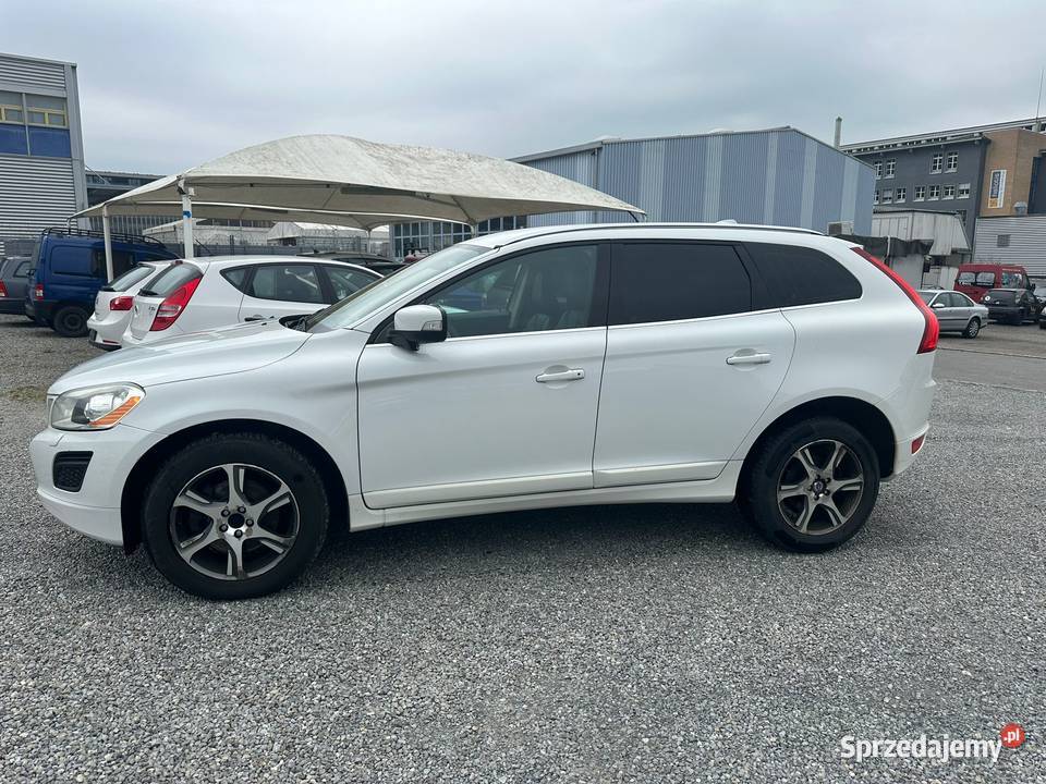 2054x4 DACHSZKLANYKAMERA SKÓRA OPŁACONY SZWAJCAR lubelskie Lublin sprzedam