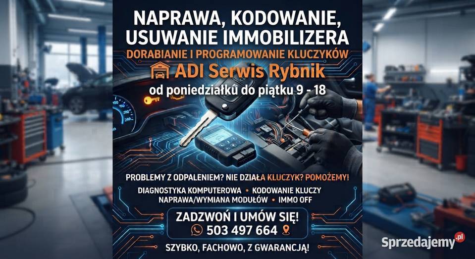 IMMO OFF naprawa usuwanie kodowanie śląskie Rybnik