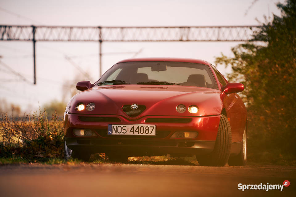 Alfa Romeo GTV 20 V6 Turbo Słonecznik