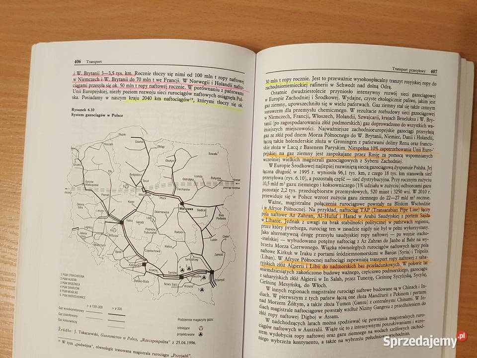 KSIĄŻKA Geografia gospodarcza świata Fierli Złotniki