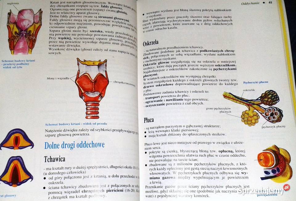 Biologia 7 Wiesława Gołda Jadwiga Wardas miękka lubelskie Chełm