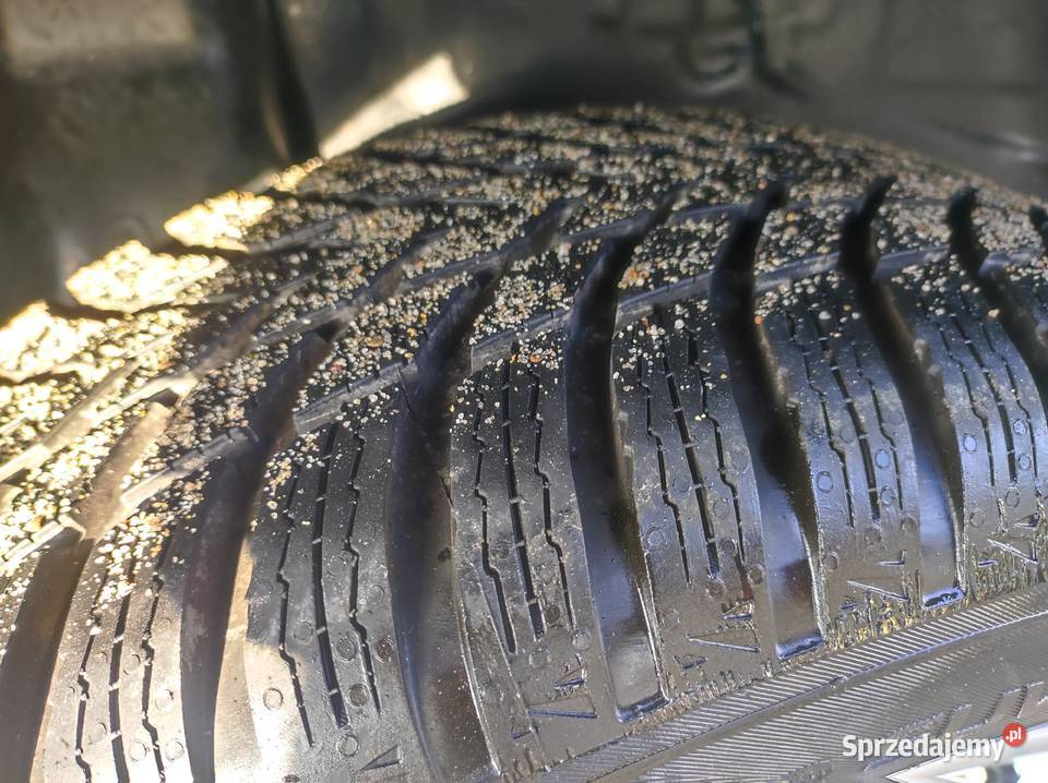 Nissan Qashqai 20 Benzyna Lift z Niemiec podkarpackie Rymanów