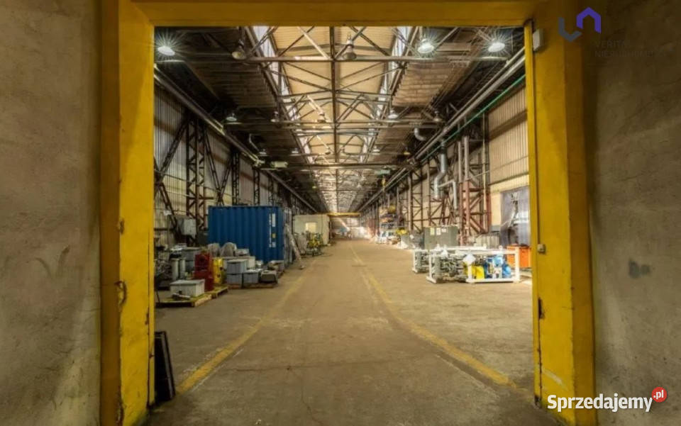 Lokal 1131m2 Chorzów 1131m2 Lokale użytkowe