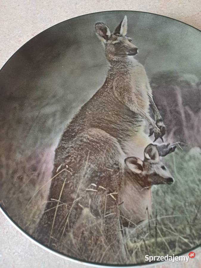 vintage kolekcjonerski talerz małopolskie Nowy Targ