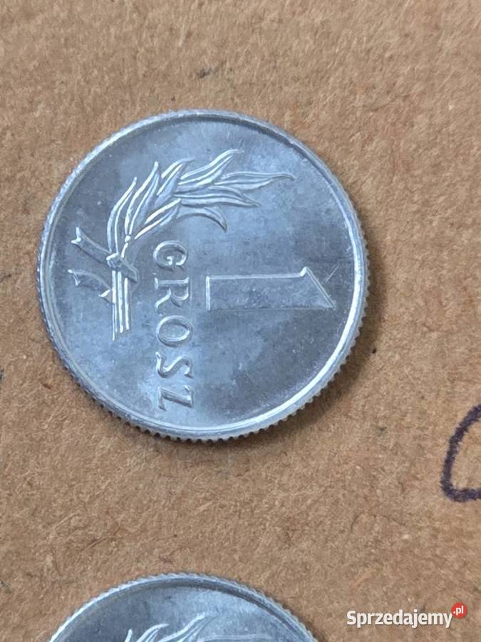 Moneta 1 grosz 3 sztuki z 1949r w doskonałym Busko-Zdrój