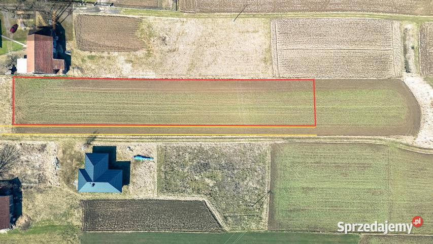 Grunt 3000m2 Godowa sprzedam