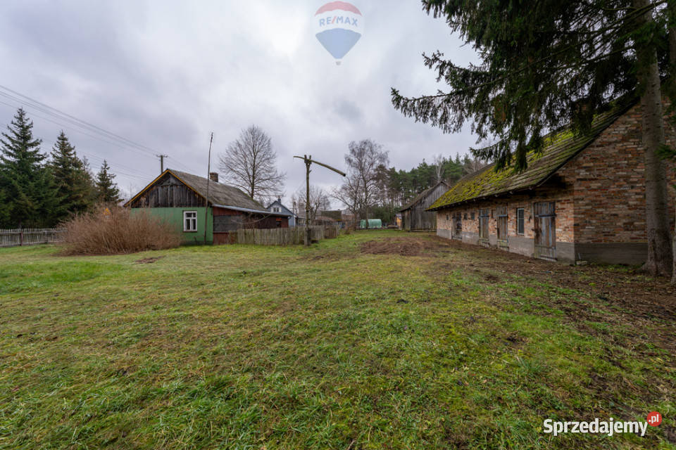 SIEDLISKO Z POTENCJAŁEM W SERCU NATURY mazowieckie Brzuza